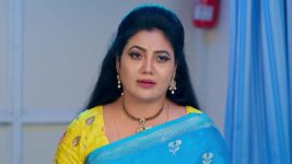 Dheerga Sumangli Bhava (Zee Telugu) S01 E309 1st April 2026