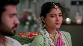 Nuvvu Leka Nenu Lenu S01 E91 Priya Raises Suspicions