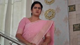 Paape Maa Jeevana Jyothi S01 E1540 Aditya Saves Kutti