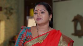 Padamati Sandhyaragam S01 E1151 25th April 2026