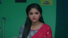Paluke Bangaramayana S01 E821 Hasini is Overjoyed