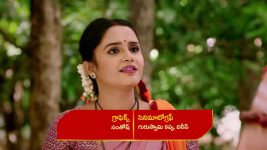 Renuka Yellamma (Star Maa) S01 E850 Kamala Is Exposed