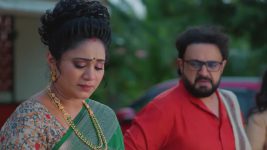 Salangai Oli (Zee Tamil) S01 E446 20th April 2026