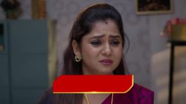 Chinni (Star Maa) S01 E563 Mahi's Quest for Truth