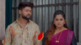 Chinni (Star Maa) S01 E564 Lohitha, Sriya's Malicious Scheme
