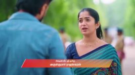 Gattimelam S01 E374 20th April 2026