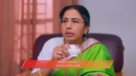 Gattimelam S01 E375 21st April 2026