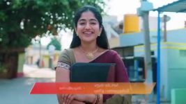 Gattimelam S01 E383 30th April 2026