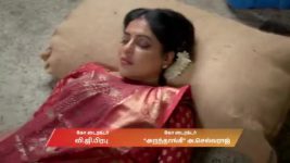Karthigai Deepam S01 E1173 9th April 2026