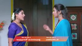 Karthigai Deepam S01 E1194 29th April 2026