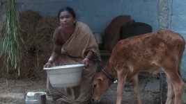 Muthu Engira Kaattaan S01 E05 Sleepless City Blues