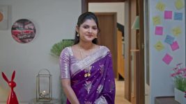 Nuvvu Leka Nenu Lenu S01 E102 Nanda Gopal, Sunandha's Concern