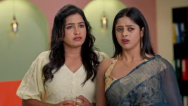 Paape Maa Jeevana Jyothi S01 E1541 Purushotham's Marriage Proposal