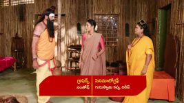 Renuka Yellamma (Star Maa) S01 E856 Mandara's Secret Surveillance