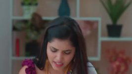 Salangai Oli (Zee Tamil) S01 E434 15th April 2026