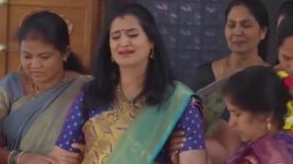 Salangai Oli (Zee Tamil) S01 E450 25th April 2026