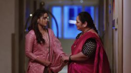 Sanai Chaughade (Zee Marathi) S01 E08 24th March 2026