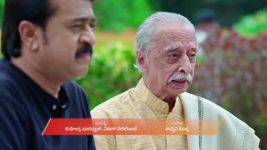 Shravani Subramanya S01 E555 1st April 2026