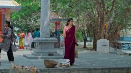 Vaarasuralu (Star Maa) S01 E63 Sakkubai's Devious Scheme
