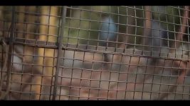 Vikram on Duty S01 E07 Saving the Loved Ones?