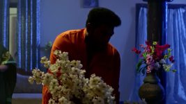 Annapoorna S01 E1119 13th April 2026