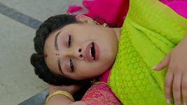 Annapoorna S01 E1123 17th April 2026