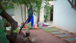 Ayali S01 E09 12th June 2025