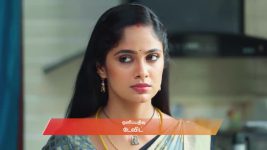 Ayali S01 E113 21st October 2025