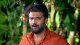 Ayali S01 E133 8th November 2025