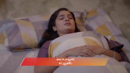 Ayali S01 E146 24th November 2025