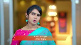 Ayali S01 E161 11th December 2025