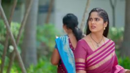 Ayali S01 E172 21st December 2025