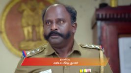 Ayali S01 E183 1st January 2026