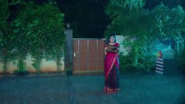 Ayali S01 E43 29th July 2025