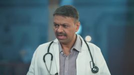 Gharwali Pedwali S01 E102 5th May 2026