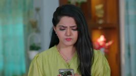 Paluke Bangaramayana S01 E839 Hasini Attempts to Locate Swaragini