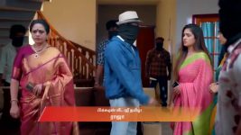Ayali S01 E292 11th May 2026