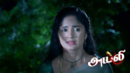 Ayali S01 E299 19th May 2026