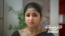 Chinnan Siru Kiliye S01 E223 29th May 2026