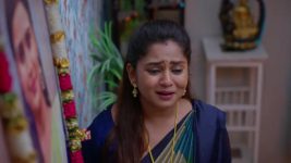 Chinni (Star Maa) S01 E579 Vasantha Accuses Chinni Chinni (Star Maa) S01 E579 Vasantha Accuses Chinni