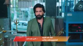 Gattimelam S01 E385 4th May 2026