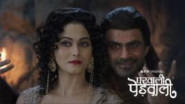 Gharwali Pedwali S01 E111 18th May 2026 Gharwali Pedwali S01 E111 18th May 2026