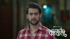 Gharwali Pedwali S01 E115 22nd May 2026 Gharwali Pedwali S01 E115 22nd May 2026