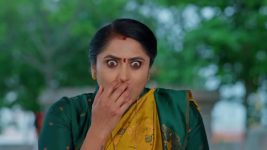 Meghasandesam (Zee Telugu) S01 E618 1st May 2026