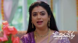Meghasandesam (Zee Telugu) S01 E621 5th May 2026 Meghasandesam (Zee Telugu) S01 E621 5th May 2026