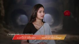 Naa Ninna Bidalaare (Zee Kannada) S01 E335 29th April 2026