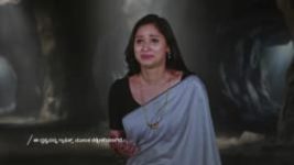 Naa Ninna Bidalaare (Zee Kannada) S01 E339 5th May 2026