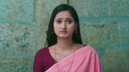Naa Ninna Bidalaare (Zee Kannada) S01 E342 8th May 2026