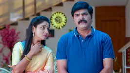 Nindu Manasulu (Star Maa) S01 E265 Prerana Troubles Vijay