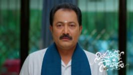 Nindu Noorella Saavasam S01 E892 20th May 2026 Nindu Noorella Saavasam S01 E892 20th May 2026
